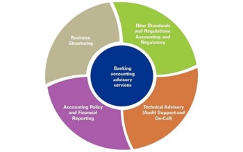 Banking Advisory Services